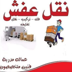 شركات نقل اثاث وعفش في رمسيس